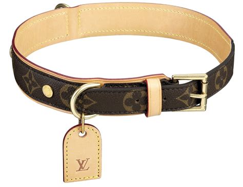 louis vuitton for pets|louis vuitton pet collar.